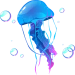 Ocean collection image